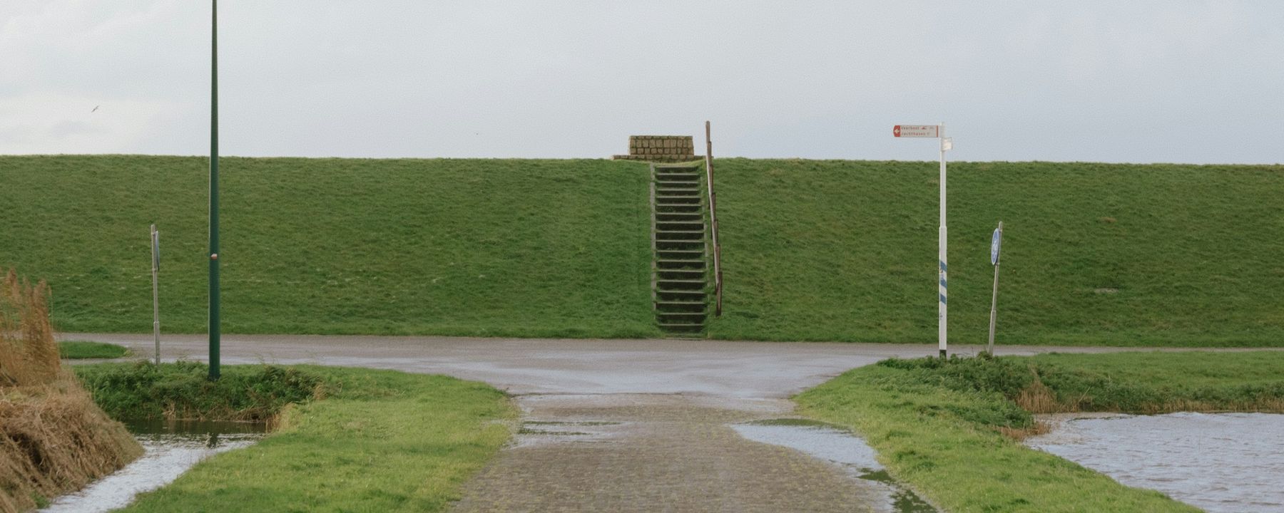 A grass sea dike with a flight of steps over it, and a wet path at its foot.